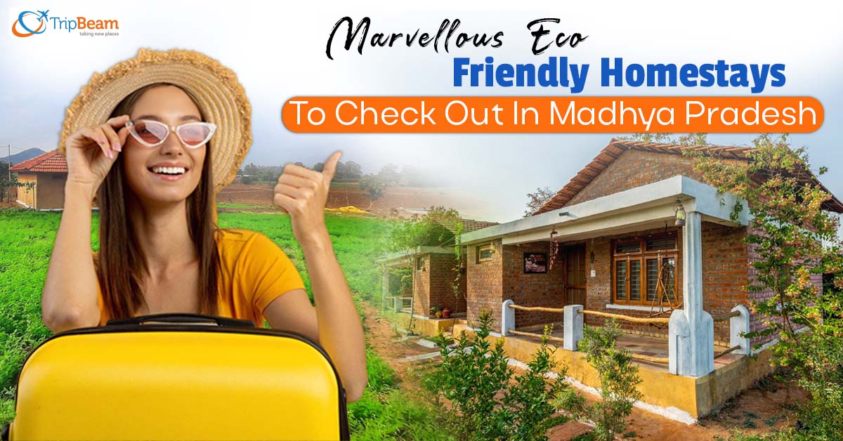 Marvellous Eco–Friendly Homestays To Check Out In Madhya Pradesh