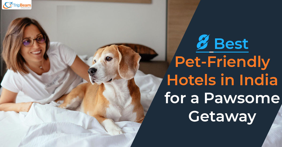 8 Best Pet-Friendly Hotels in India for a Pawsome Getaway