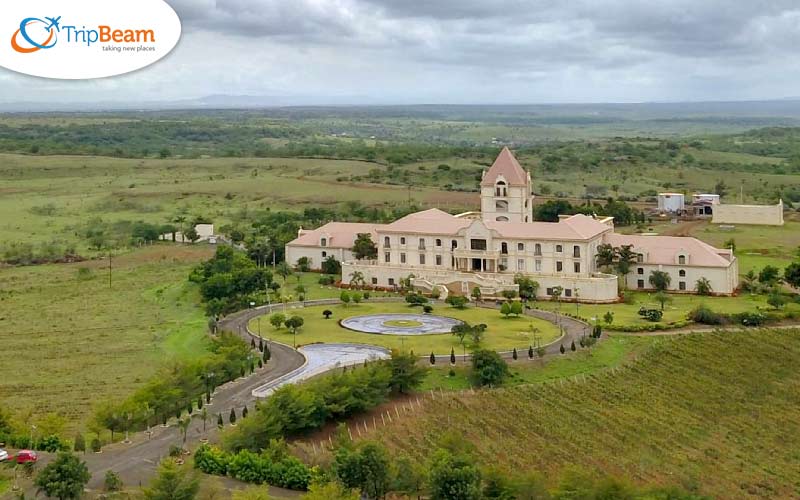 Four Seasons Vineyard