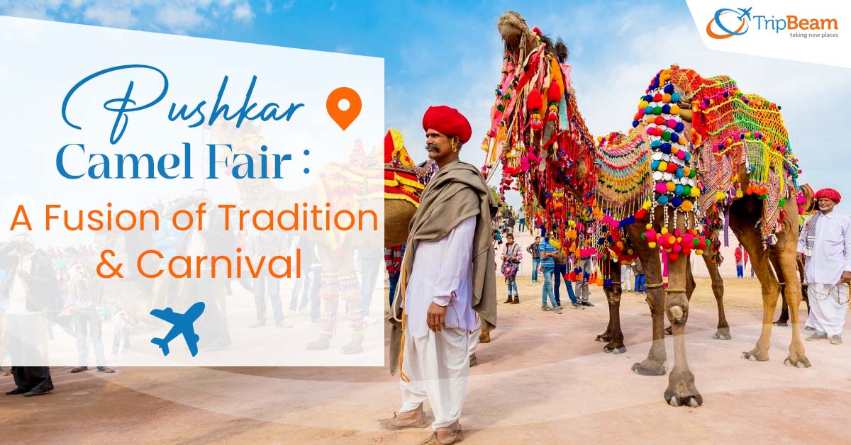 Pushkar Camel Fair: A Fusion of Tradition and Carnival