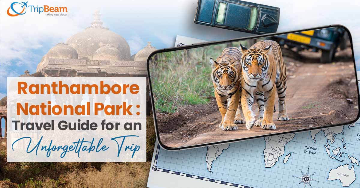 Ranthambore National Park: Travel Guide for an Unforgettable Trip