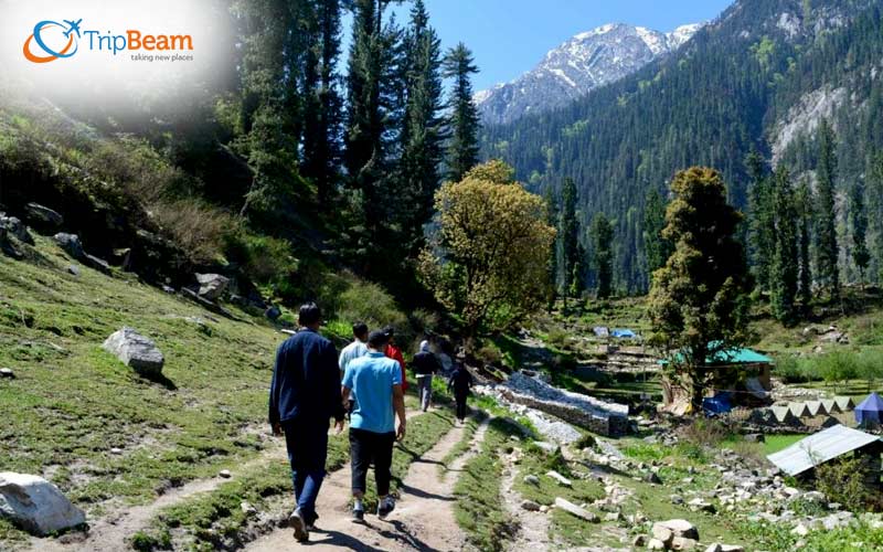 Hike to Grahan Village in Himachal Pradesh
