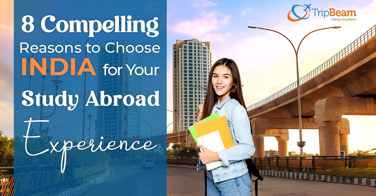 8 Compelling Reasons to Choose India for Your Study Abroad Experience