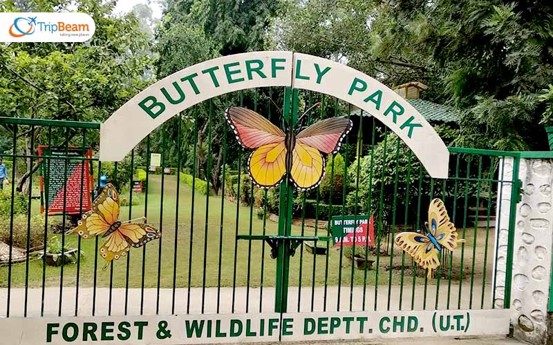 Butterfly Park