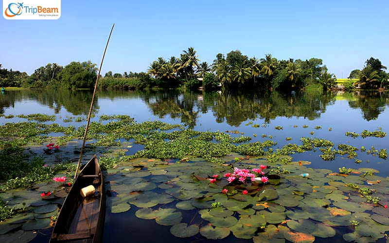 Captivating Kuttanad