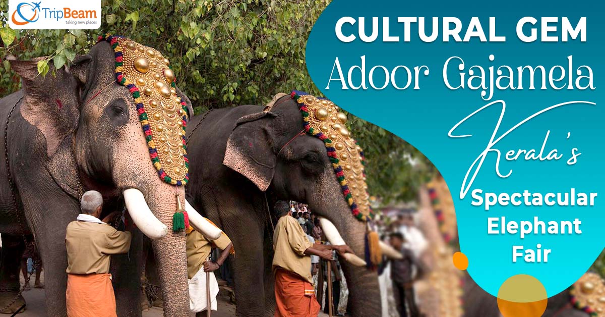 Cultural Gem Adoor Gajamela – Keralas Spectacular Elephant Fair 
