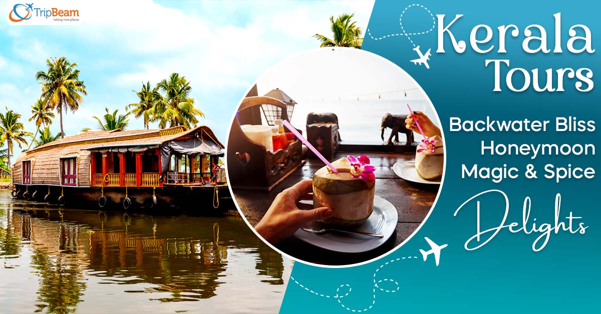 Kerala Tours: Backwater Bliss, Honeymoon Magic, and Spice Delights