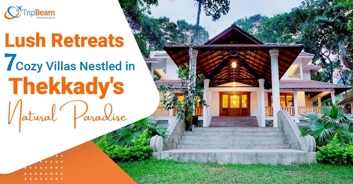 Lush Retreats: 7 Cozy Villas Nestled in Thekkady’s Natural Paradise