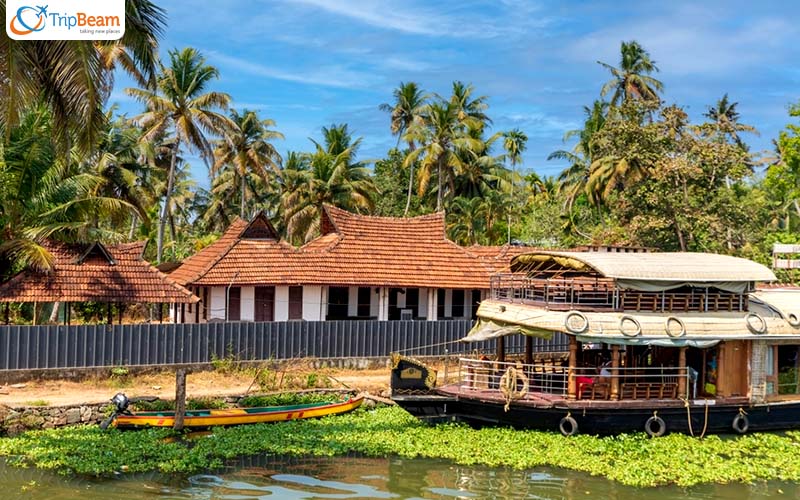 Magical Alleppey