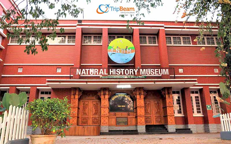 Natural History Museum in Thiruvananthapuram