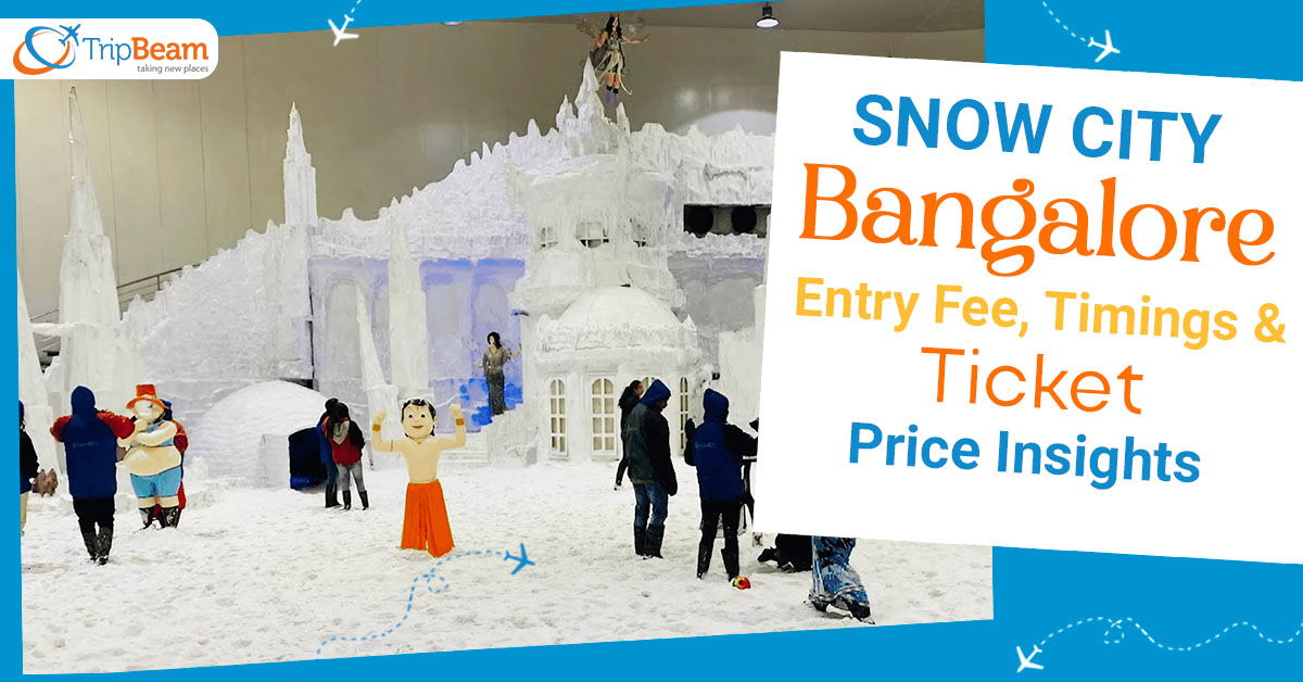 Snow City Bangalore: Entry Fee, Timings and Ticket Price Insights
