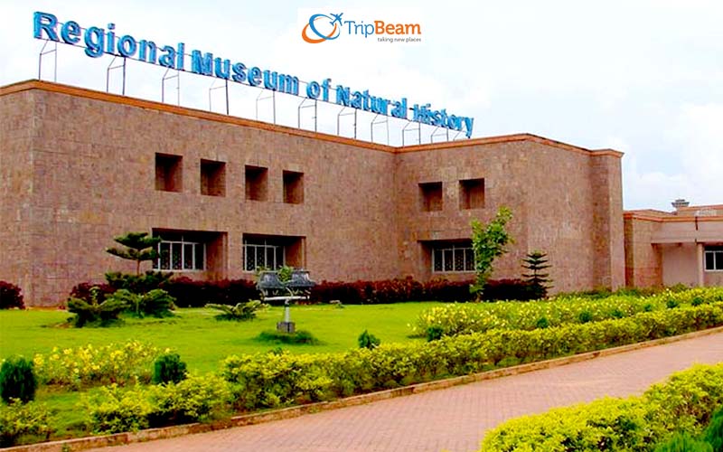 The Regional Museum of Natural History in Mysore