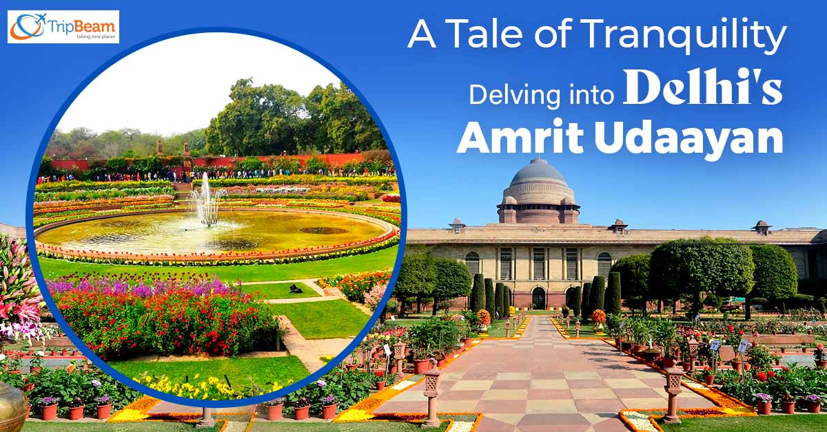A Tale of Tranquility: Delving into Delhi’s Amrit Udaayan