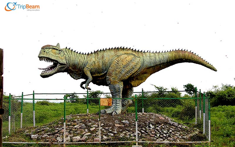 Raiyoli Dinosaur Museum