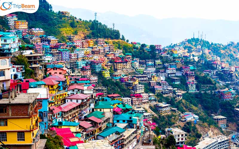 Shimla