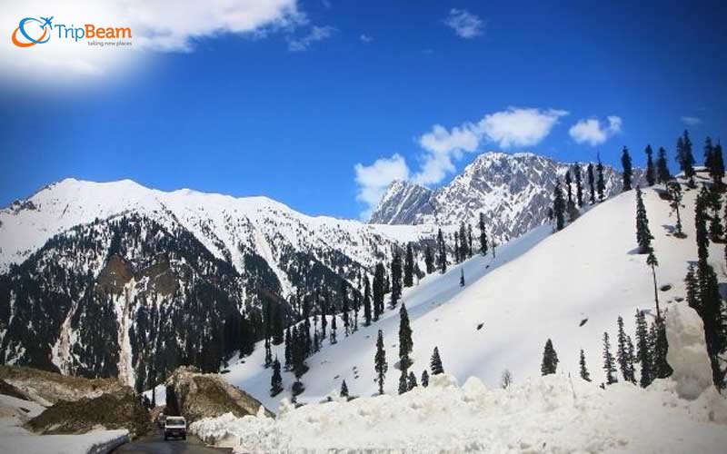 Sonmarg Kashmir
