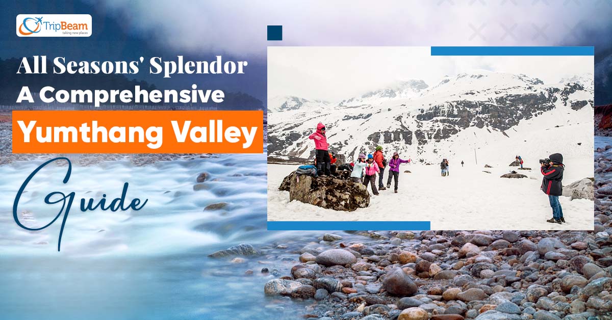 All Seasons’ Splendor: A Comprehensive Yumthang Valley Guide