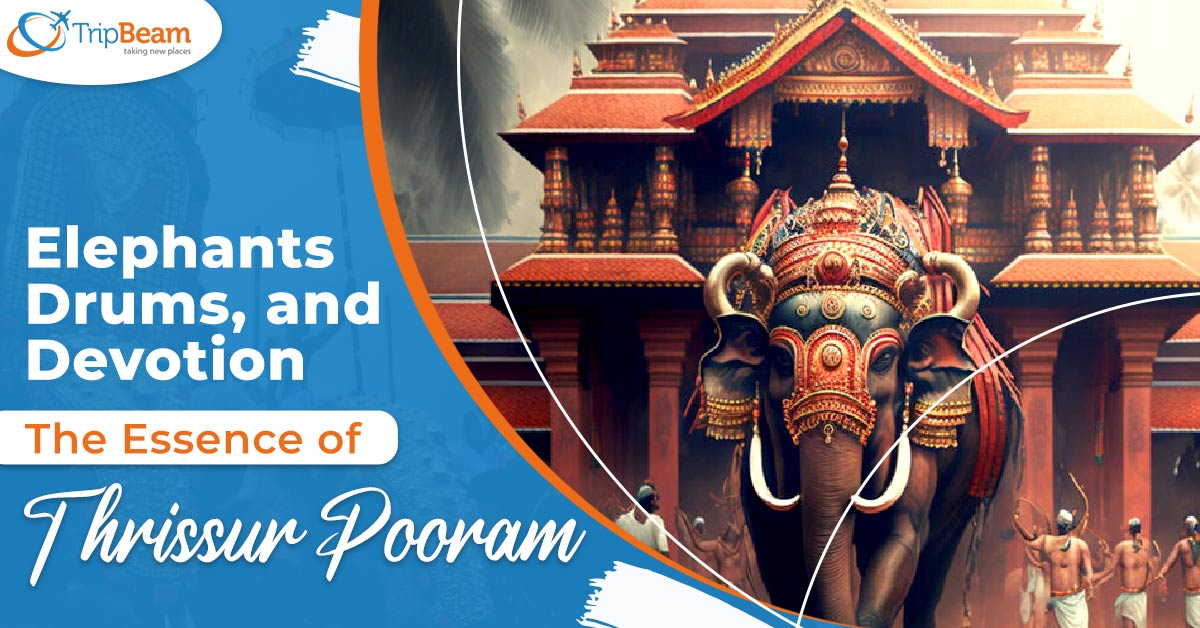 Elephants, Drums, and Devotion: The Essence of Thrissur Pooram