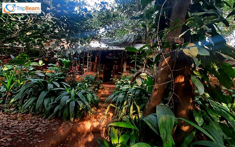 Mhadei Jungle Camp Ojas Agro Farm