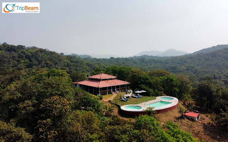 Porsu Eco Village in Agonda The Best Farmhouse with a Swimming Pool in Goa