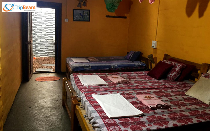 Tanshikar Spice Farm is the best farm in South Goa for picnicking