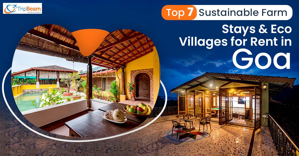 Top 7 Sustainable Farm Stays & Eco Villages for Rent in Goa
