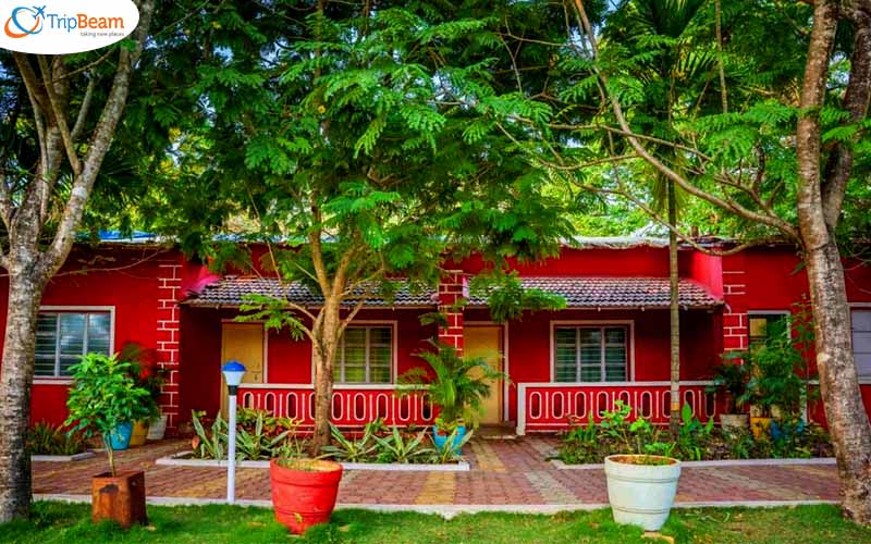 Panther Stay Jungle Resort