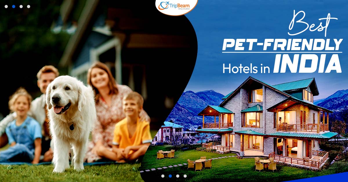Best Pet Friendly Hotels in India