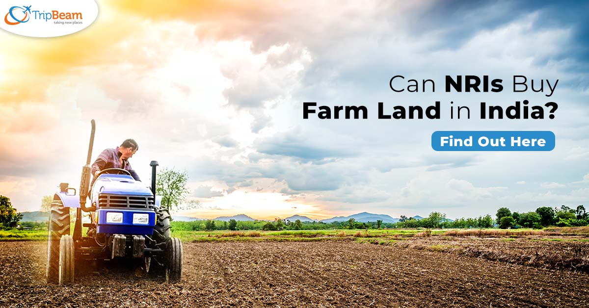 Can NRIs Buy Farm Land in India? Find Out Here