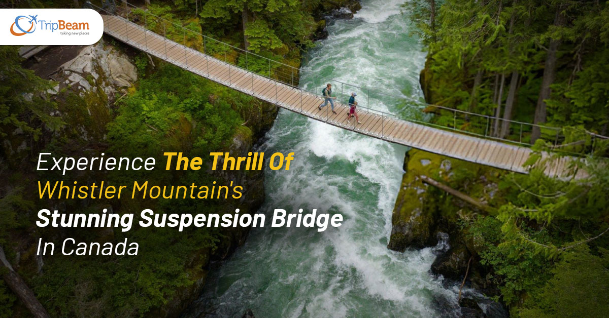 Experience The Thrill Of Whistler Mountain’s Stunning Suspension Bridge In Canada