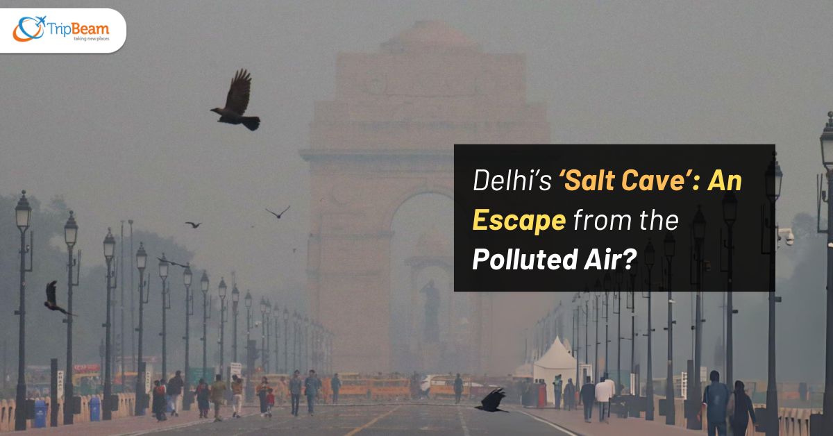 Delhi’s ‘Salt Cave’: An Escape from the Polluted Air?