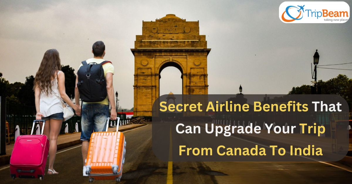 Secret Airline Benefits That Can Upgrade Your Trip From Canada To India