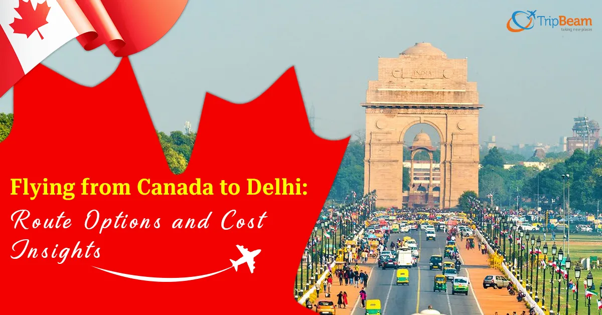 Flying from Canada to Delhi: Route Options and Cost Insights