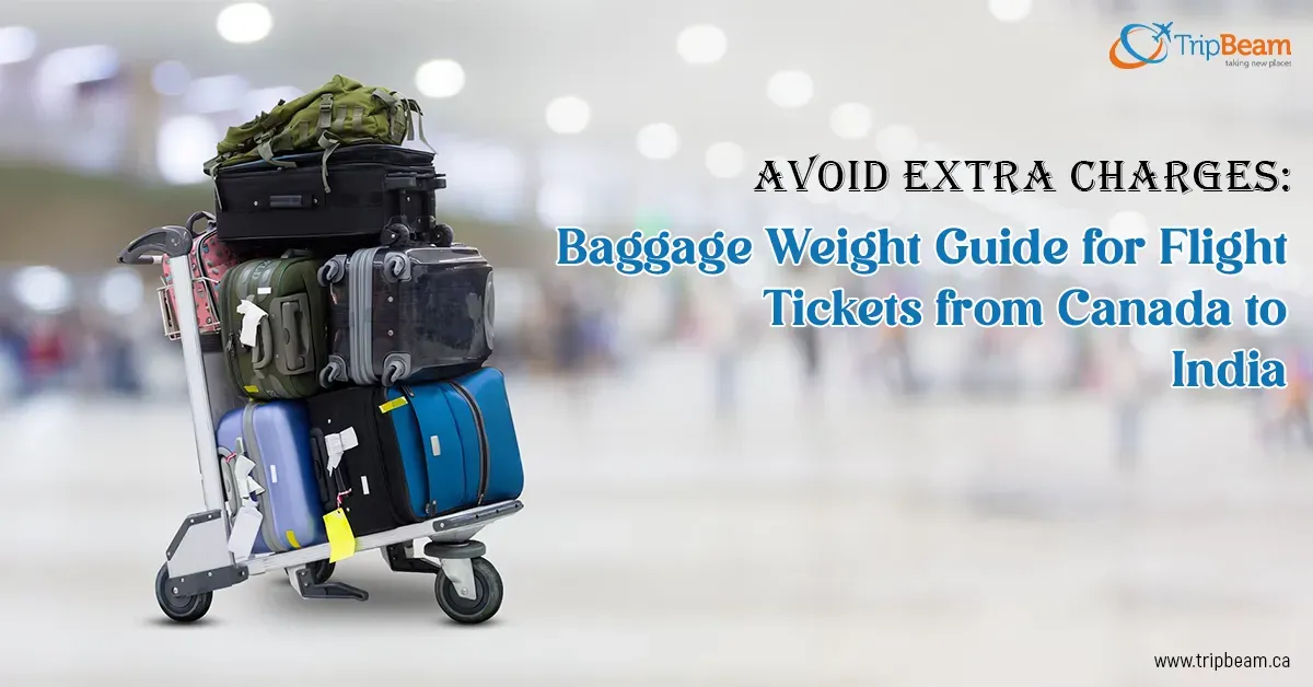 Avoid Extra Charges: Baggage Weight Guide for Flight Tickets from Canada to India
