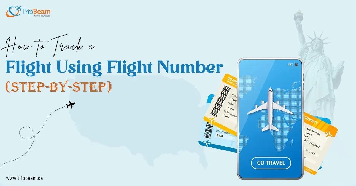 How to Track a Flight Using Flight Number (Step-by-Step)
